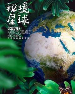 顶奢品牌官宣，肖战续约
