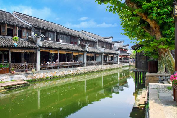 漂亮鹦鹉救援